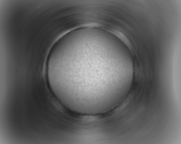 X0000089861044200707121732