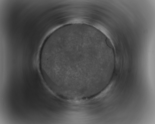 X0000089861045200707121732