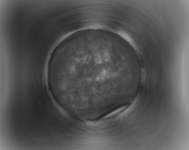 X0000089861046200707121732