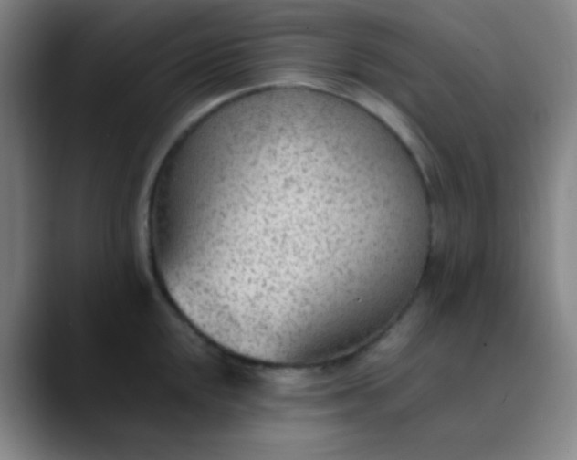 X0000089861048200707121732