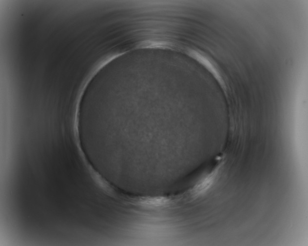 X0000089861050200707121732