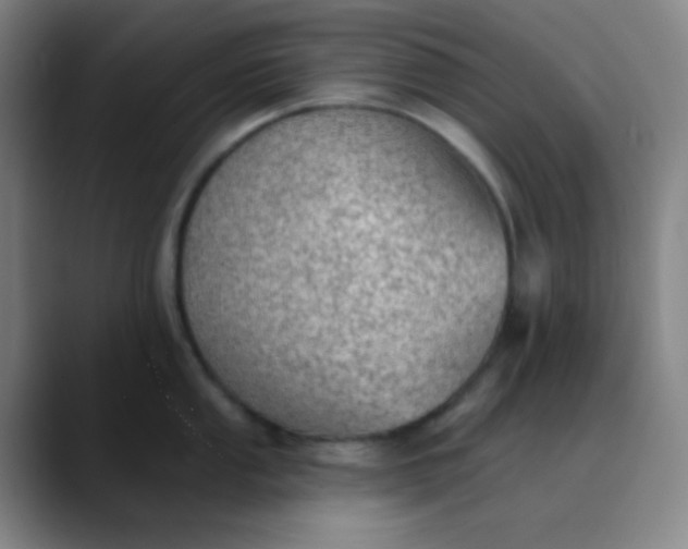 X0000089861053200707121732