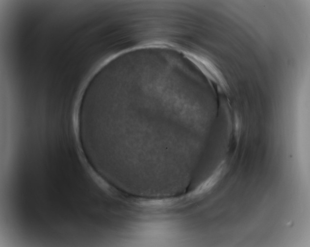 X0000089861054200707121732