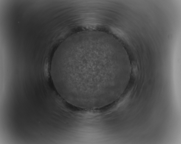 X0000089861060200707121732