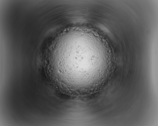 X0000089861063200707121732