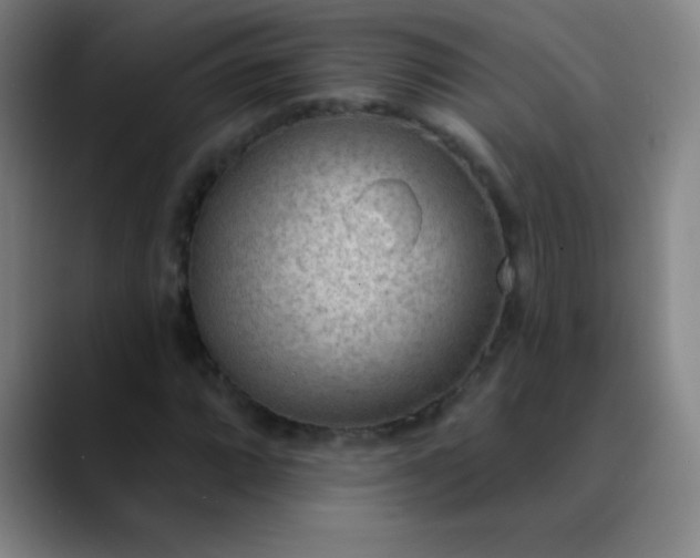 X0000089861064200707121732