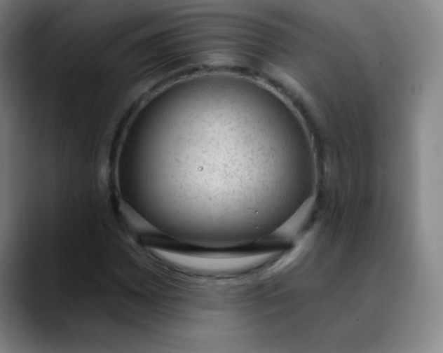 X0000089861065200707121732