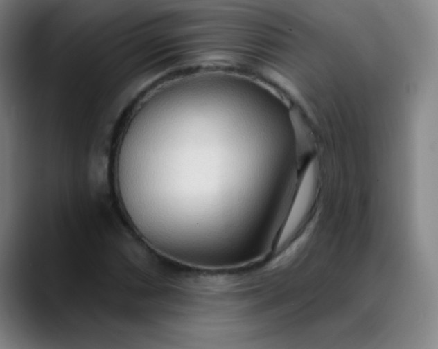 X0000089861066200707121732