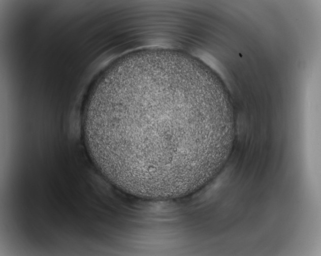 X0000089861067200707121732