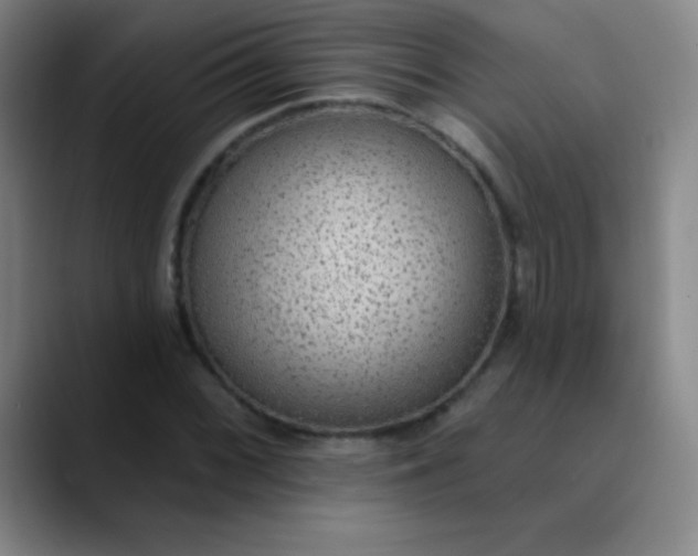 X0000089861068200707121732