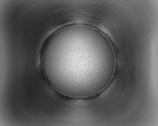 X0000089861070200707121732