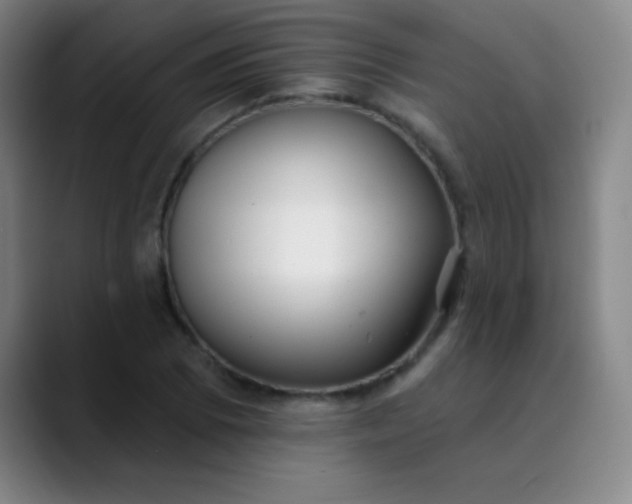 X0000089861073200707121732