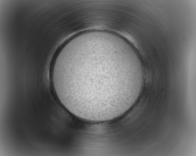 X0000089861078200707121732