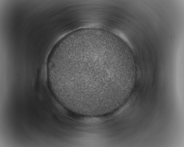 X0000089861079200707121732