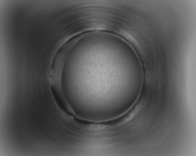 X0000089861081200707121732