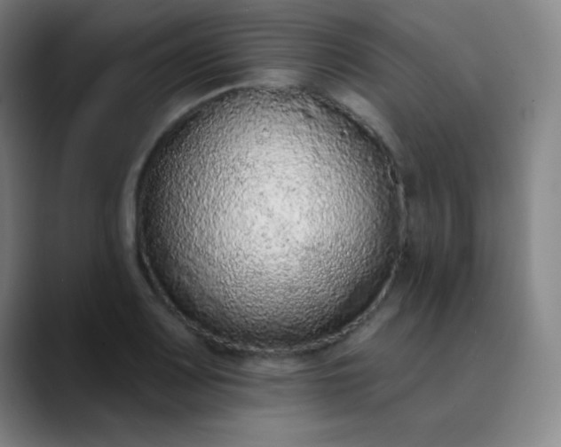 X0000089861083200707121732