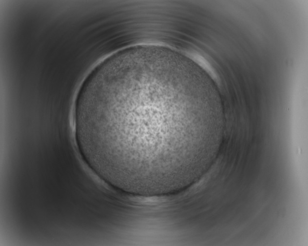 X0000089861084200707121732