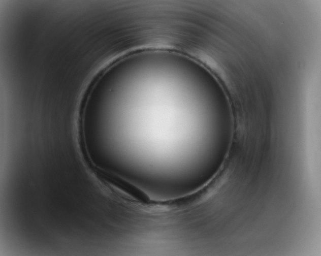 X0000089861085200707121732