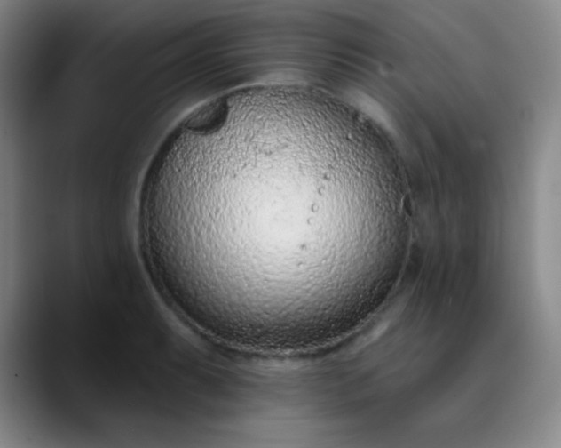 X0000089861087200707121732