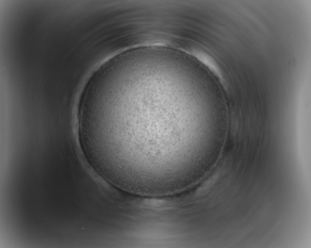 X0000089861088200707121732