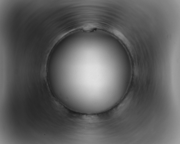 X0000089861089200707121732