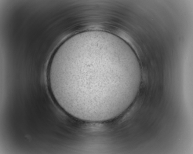 X0000089861090200707121731