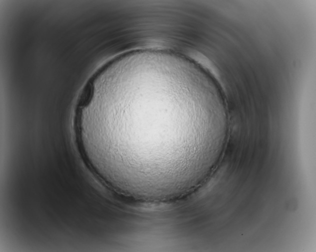 X0000089861091200707121731