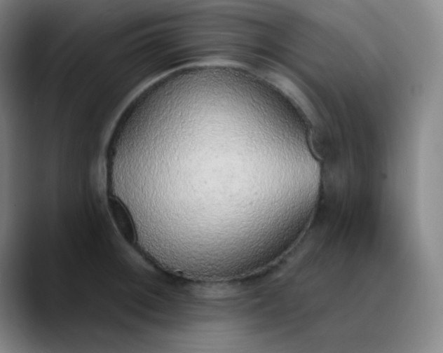 X0000089861092200707121731