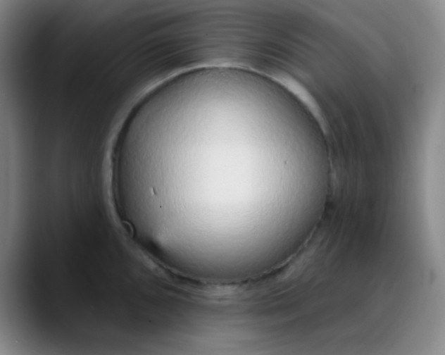 X0000089861096200707121731