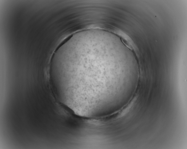 X0000089861097200707121731