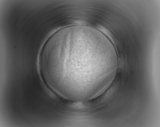 X0000089861098200707121731