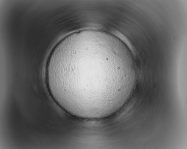 X0000089861099200707121731