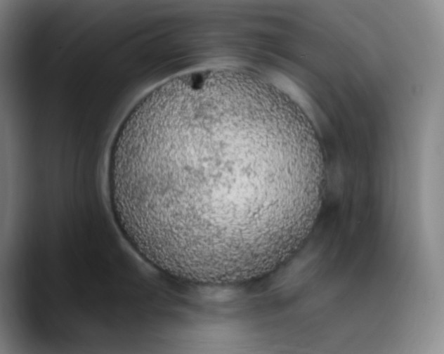 X0000089861103200707121731