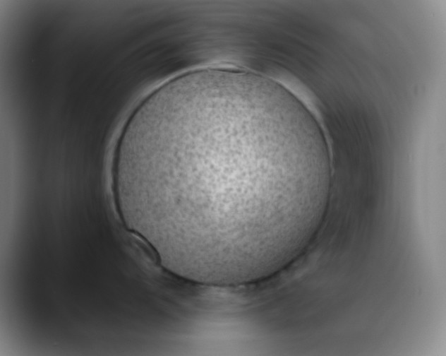 X0000089861104200707121731