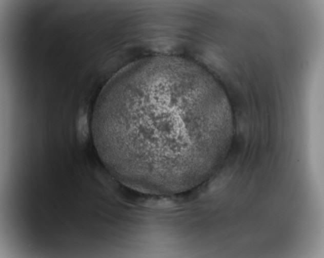 X0000089861106200707121731