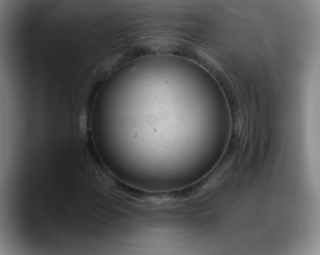 X0000089861108200707121731