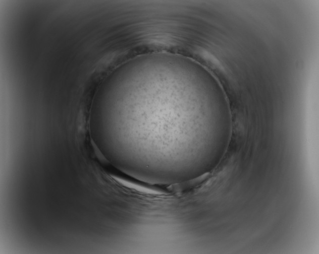 X0000089861110200707121731