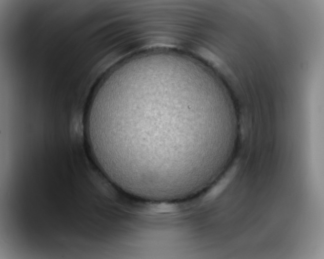 X0000089861113200707121731