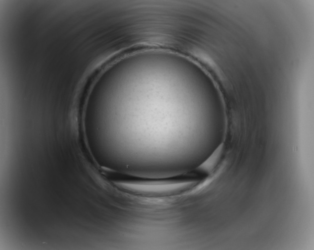 X0000089861114200707121731