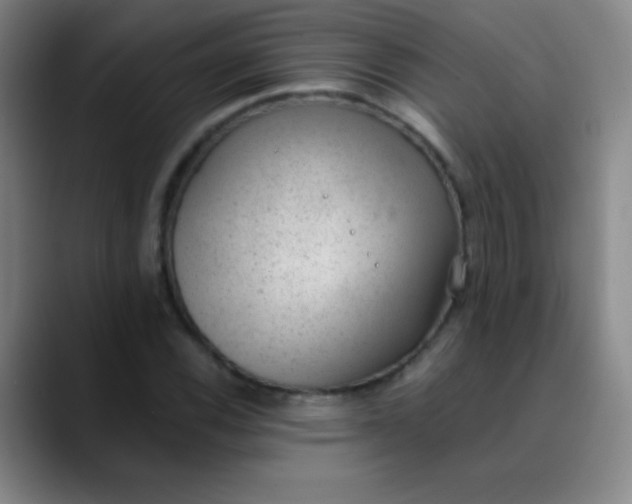 X0000089861116200707121731