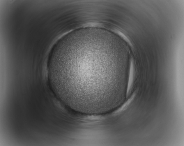 X0000089861117200707121731