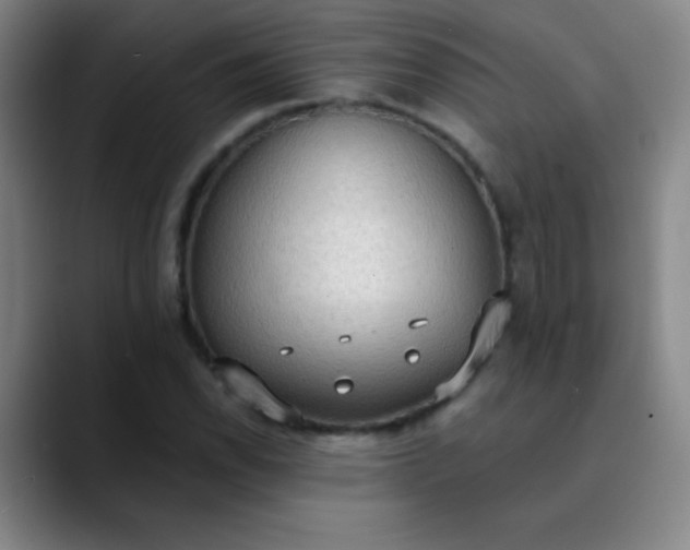 X0000089861118200707121731