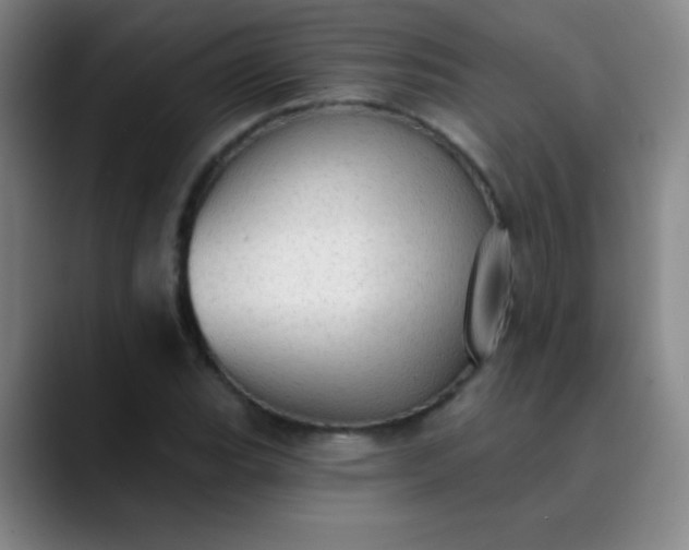 X0000089861119200707121731