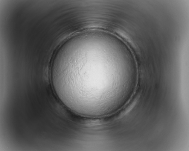 X0000089861121200707121731