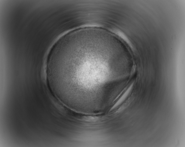 X0000089861124200707121731