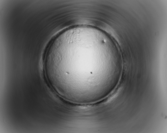 X0000089861125200707121731