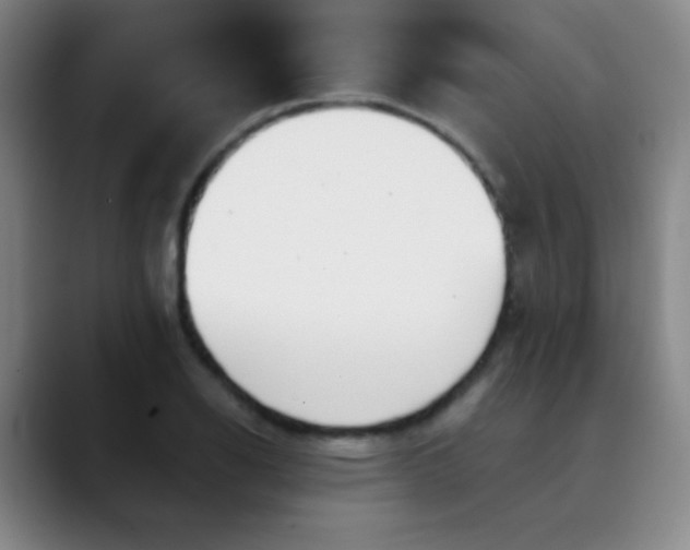 X0000089861126200707121731