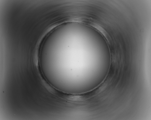 X0000089861131200707121731