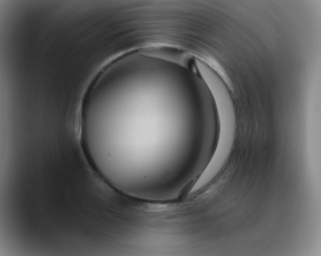 X0000089861132200707121731