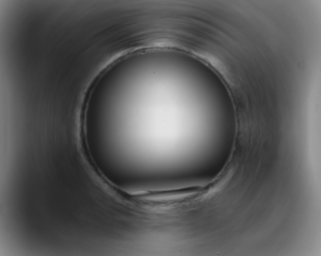 X0000089861134200707121731